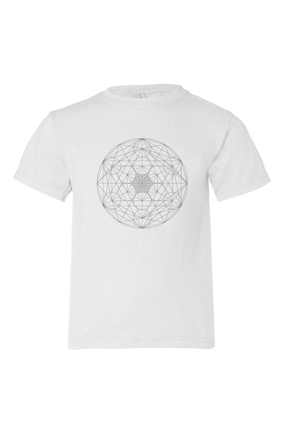 Genetics of the Universe Organic Kids T Shirt